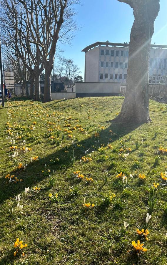 Magnifique Appartement L'Aigrette Dieppe Dış mekan fotoğraf