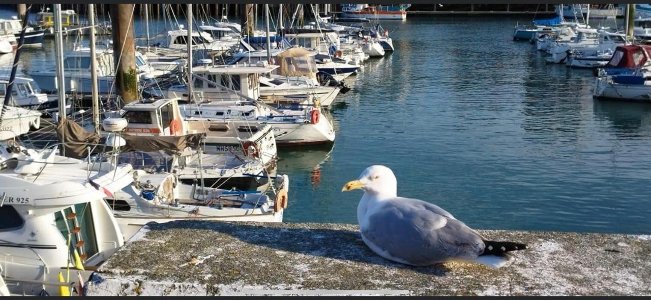 Magnifique Appartement L'Aigrette Dieppe Dış mekan fotoğraf